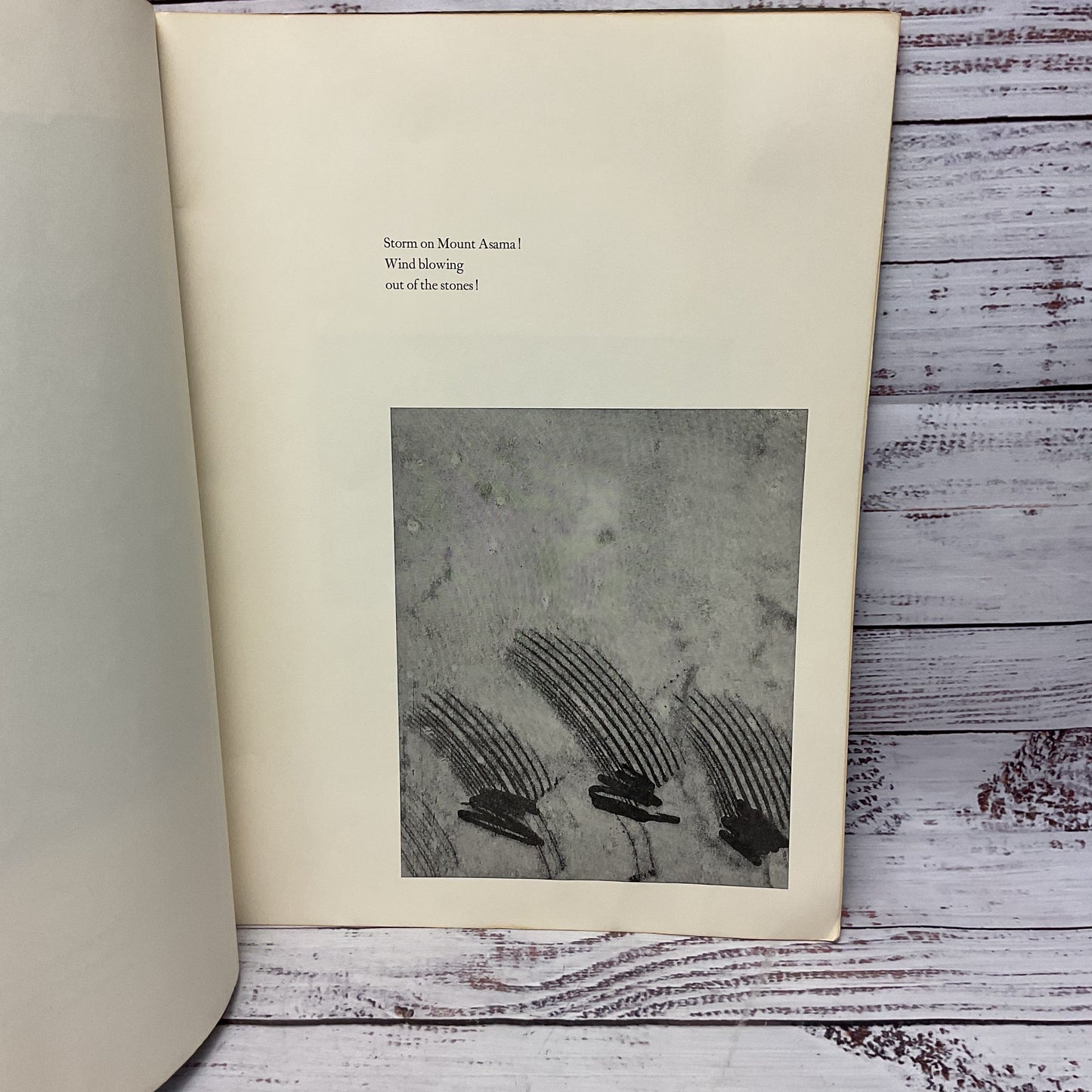 Basho Haiku Poetry Book 1972 Shinji Okamura Translated By Robert Bly