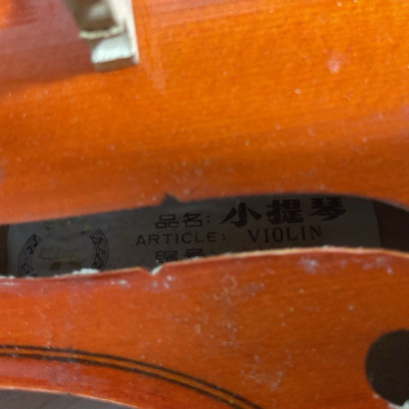 SKYLARK MV:007 Violin with Hard Case and Glasser Bow