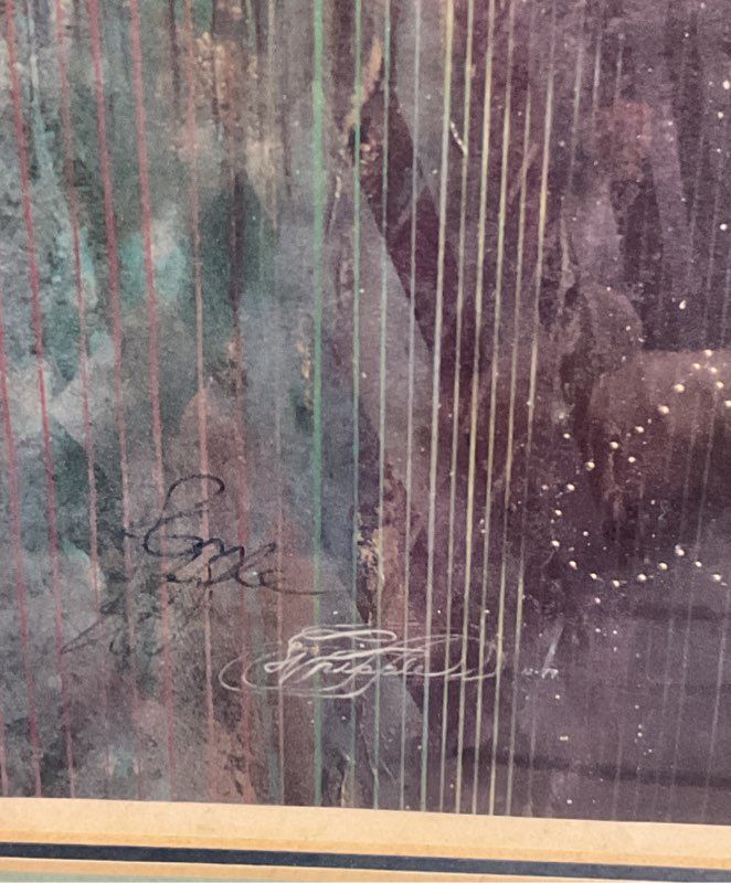 Limited Edition 160/300 Print by Unknown Artist Signed. Framed