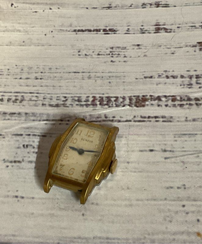 Geneva Warwick Gold Tone Stainless Steel Vintage Watch Case Swiss