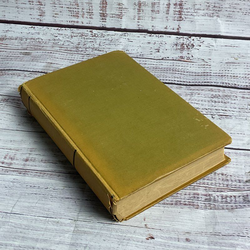 The Lamplighter Maria S Cummins Hardcover Vintage Book