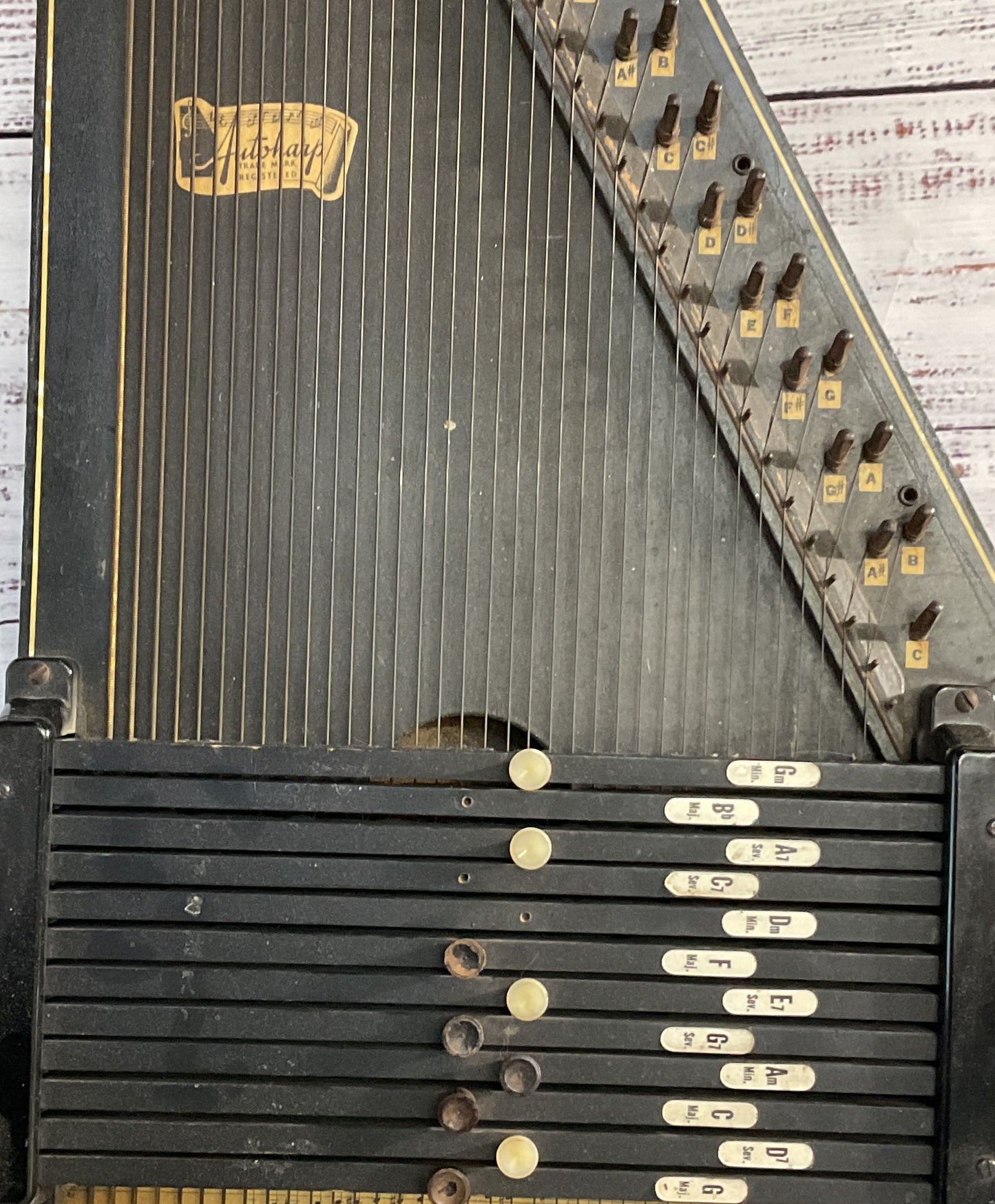 Oscar Schmidt Vintage Autoharp Instrument