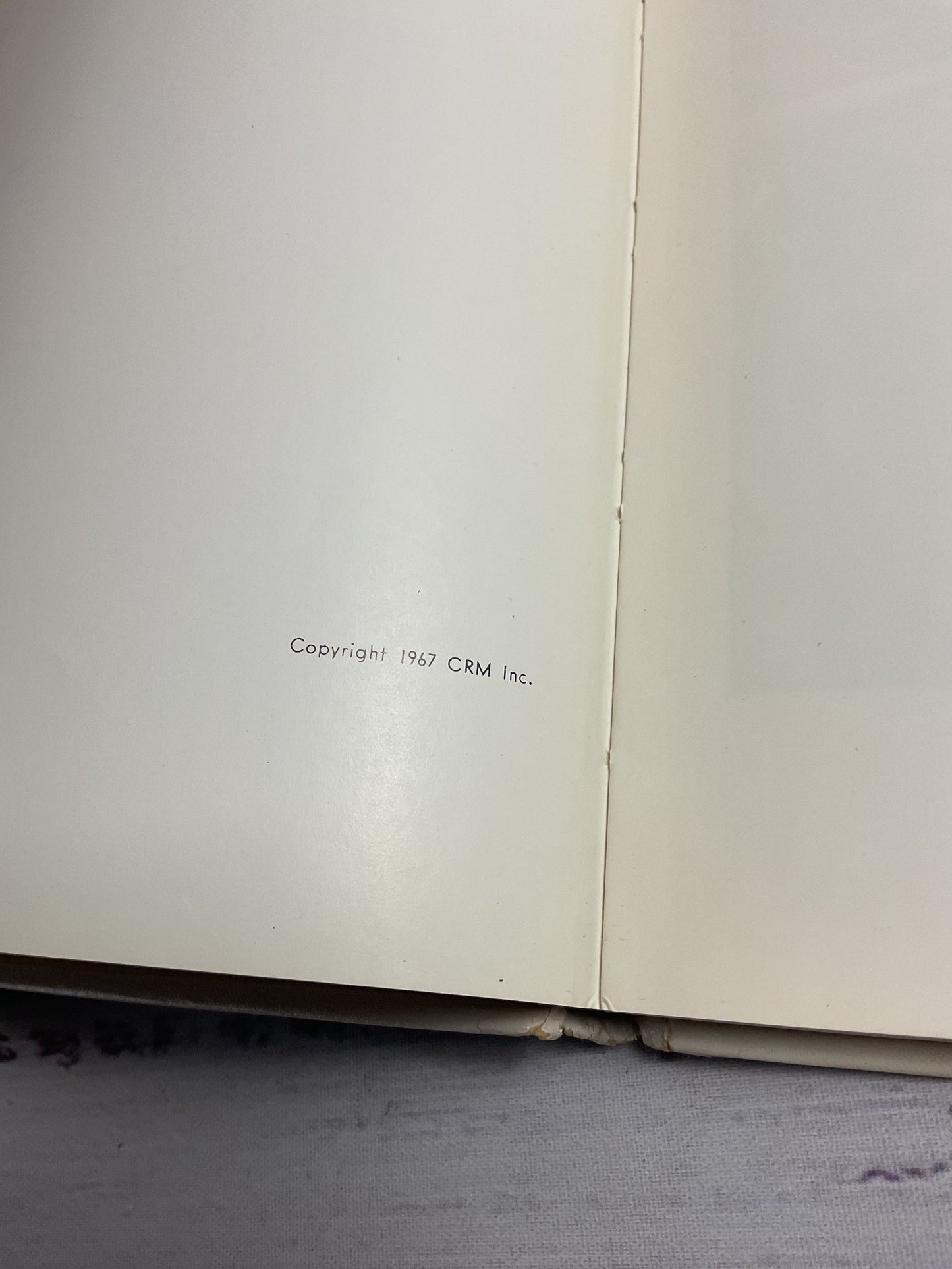 The Psychology Of Children's Art Signed Book
