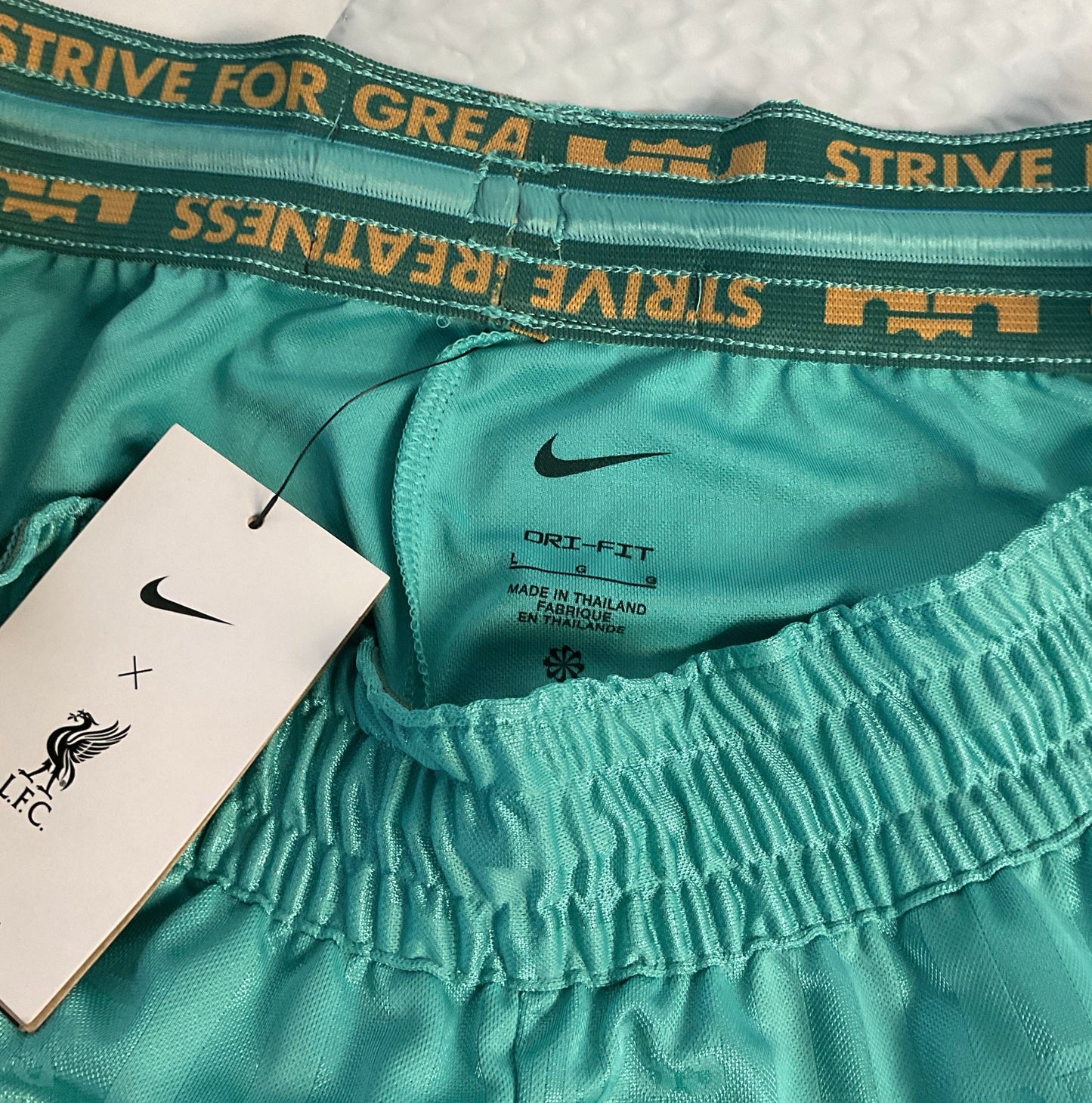 NWT Men's Nike LFC Green Shorts Size L