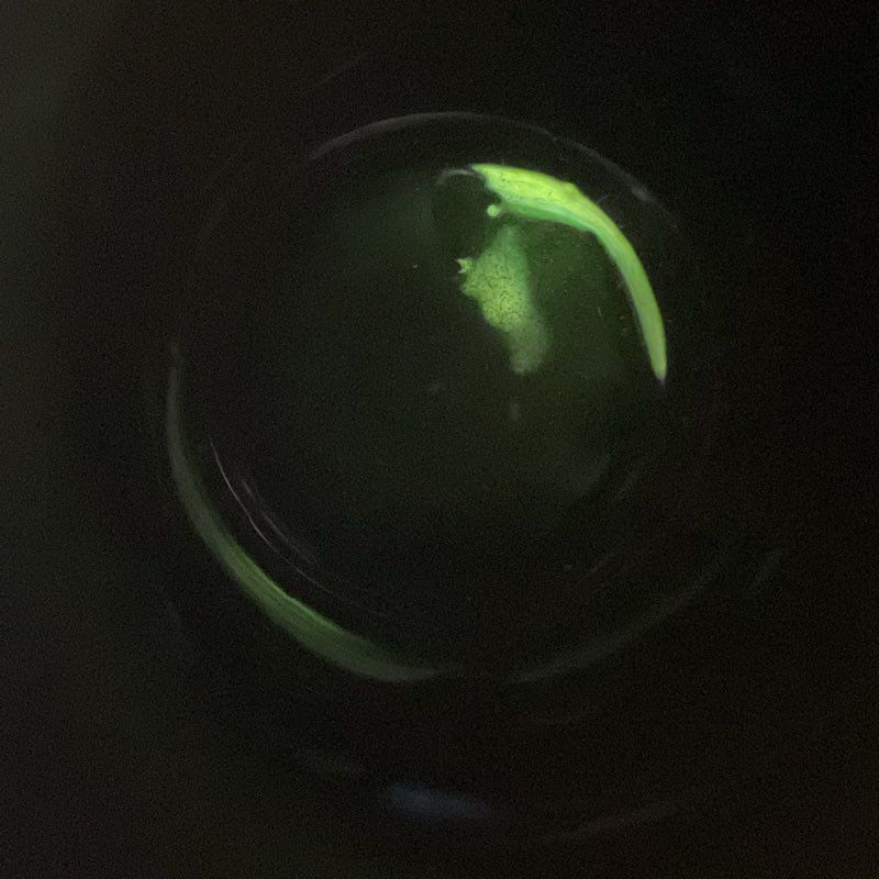 Blue/Purple Iridescent Glass 3" Spherical Bud Vase Perfume Bottle