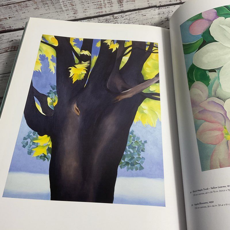 Modern Nature: Georgia O'keeffe And Lake George Hardcover Art Book 2013