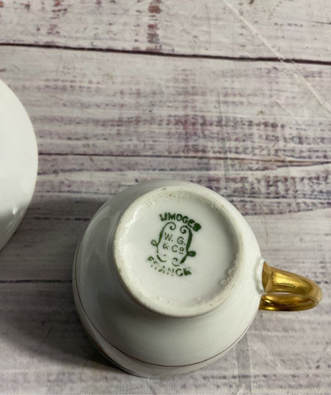 Vintage Wm Guerin & Co Limoges France Cup & Saucer