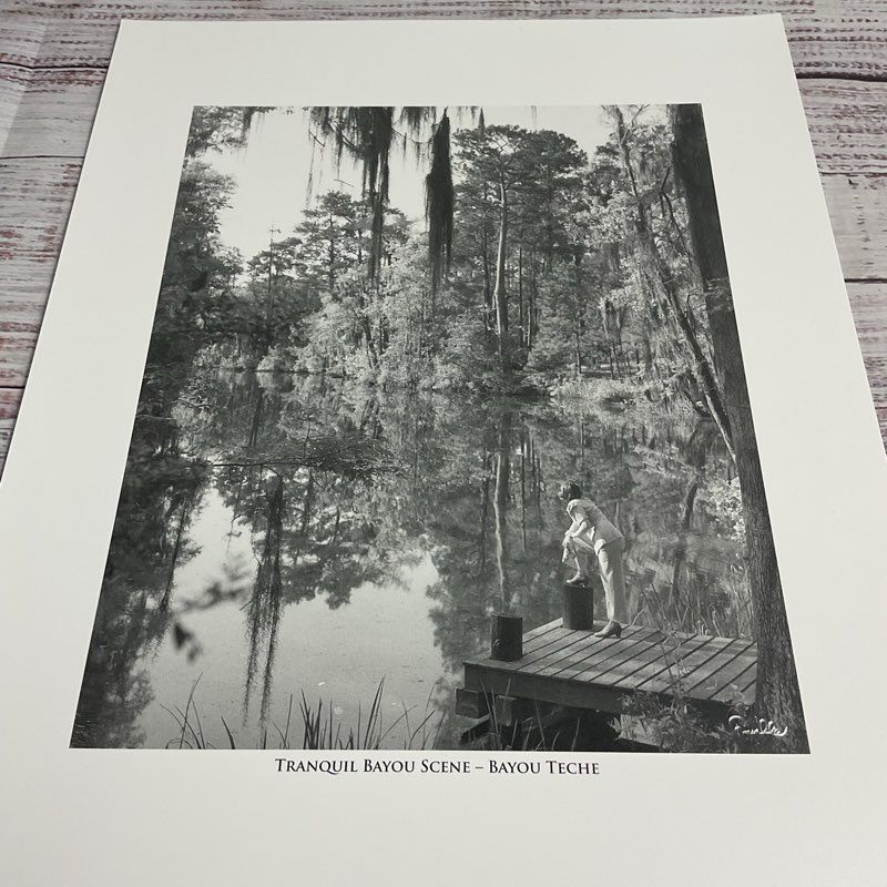 Theodore Fonville Winans 12 Pc. American South Photography Print Set (2/2)