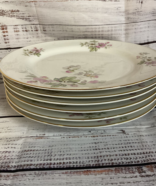 Tirschenreuth Bavaria Germany Apple Blossom White Porcelain 6 Dinner Plates