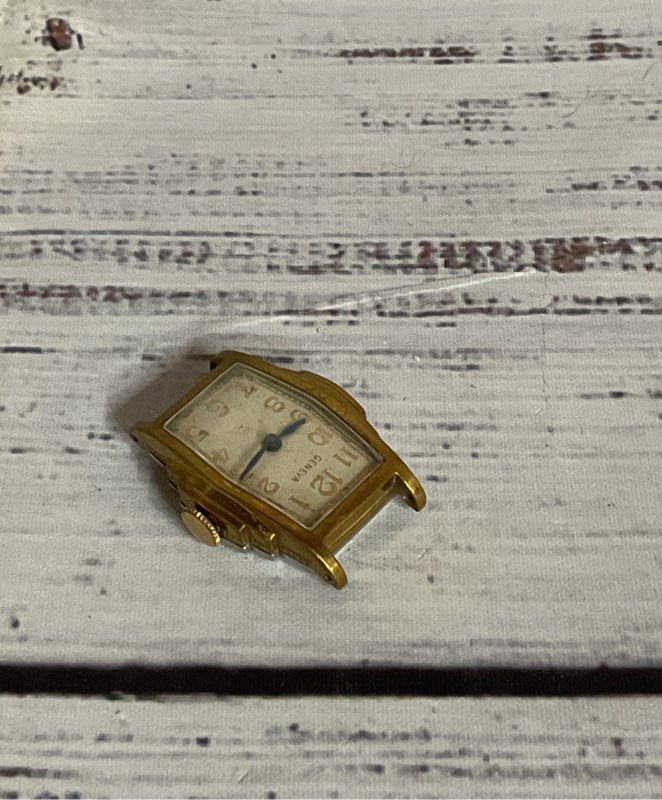 Geneva Warwick Gold Tone Stainless Steel Vintage Watch Case Swiss