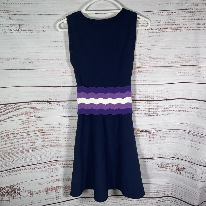 Sandro Purple Zig-Zag Stripe Belt Sleeveless Retro Mod Mini Dress Size in Desc.