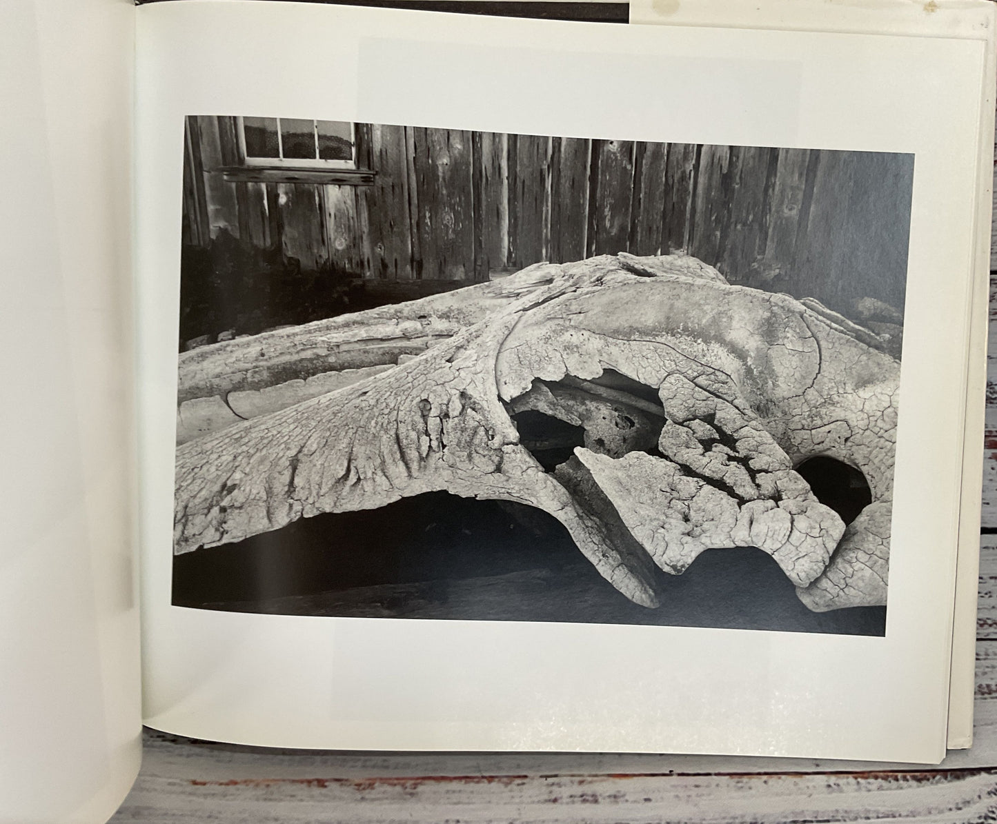 Timekeeper by Anthony Friedkin 2003 First Edition