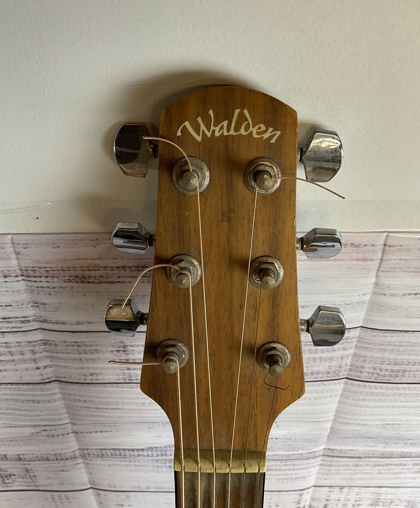 Walden Natura D550 Acoustic Guitar with Soft Case and Capo