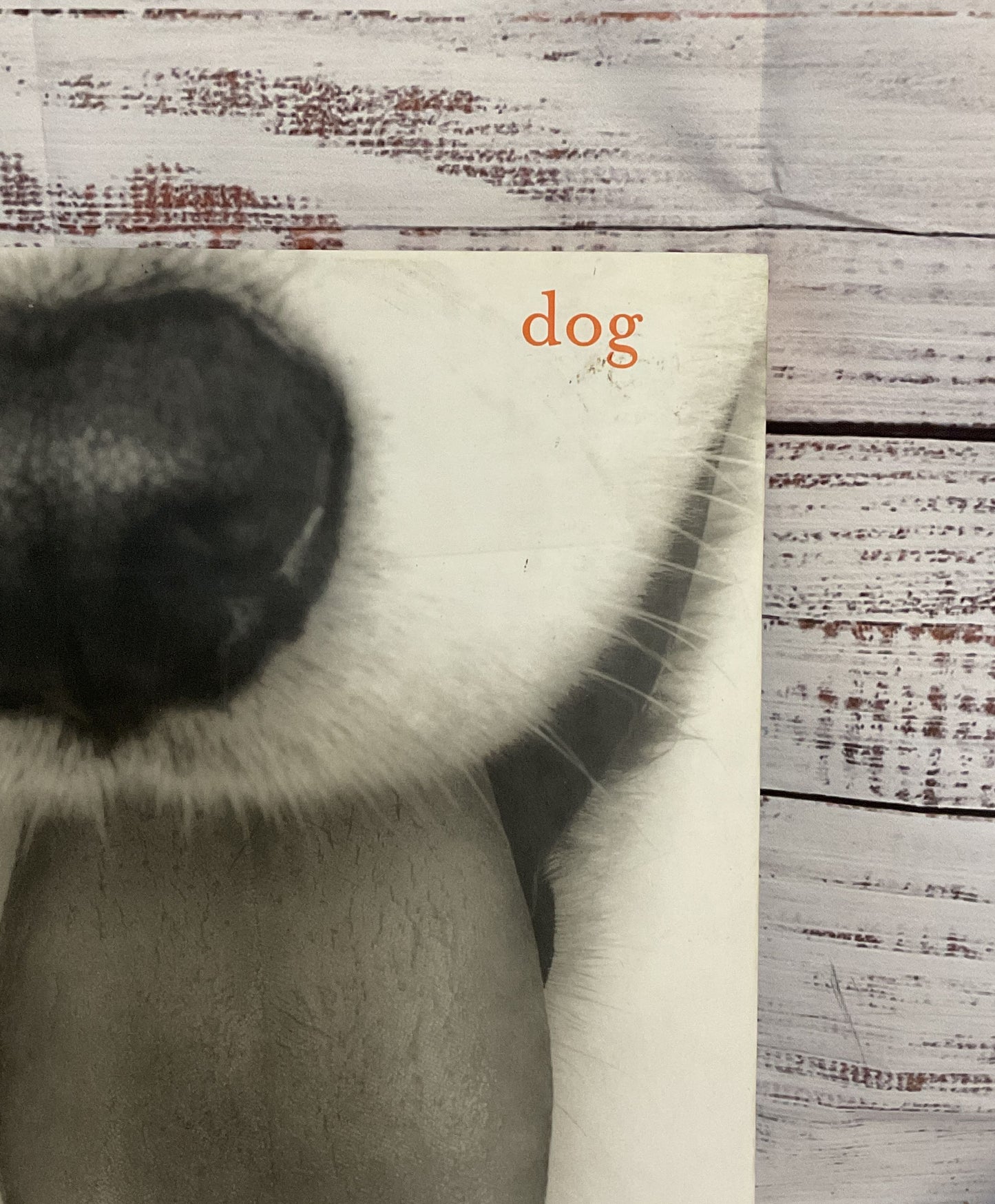 Dog Photography Book by Deborah Samuel