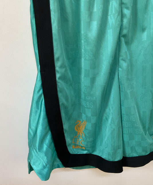 NWT Men's Nike LFC Green Shorts Size L