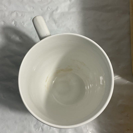 Set of 9 Gibson Oliver Orchard Mugs/Cups