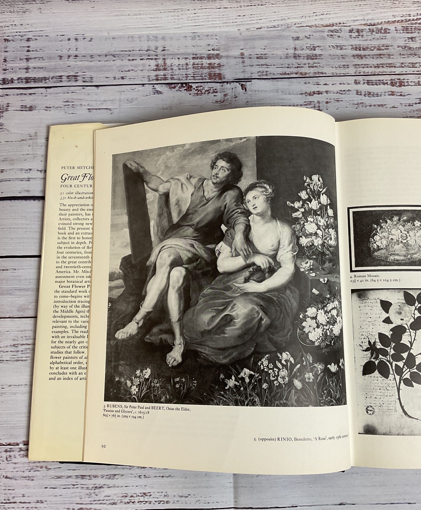 Great Flower Painters Four Centuries of Floral Art Non Fiction Coffee Table Book