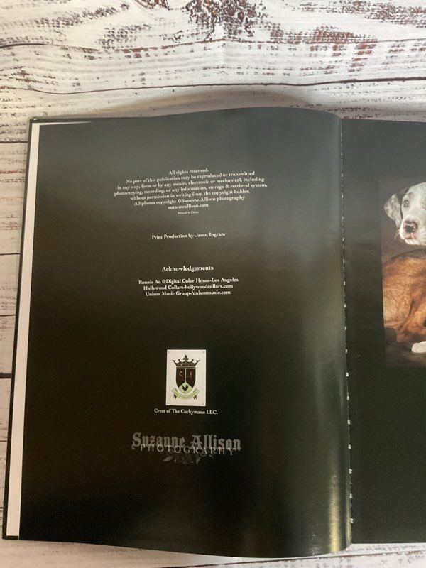 Gimme Shelter Celebrities and Their Pets By Suzanne Allison