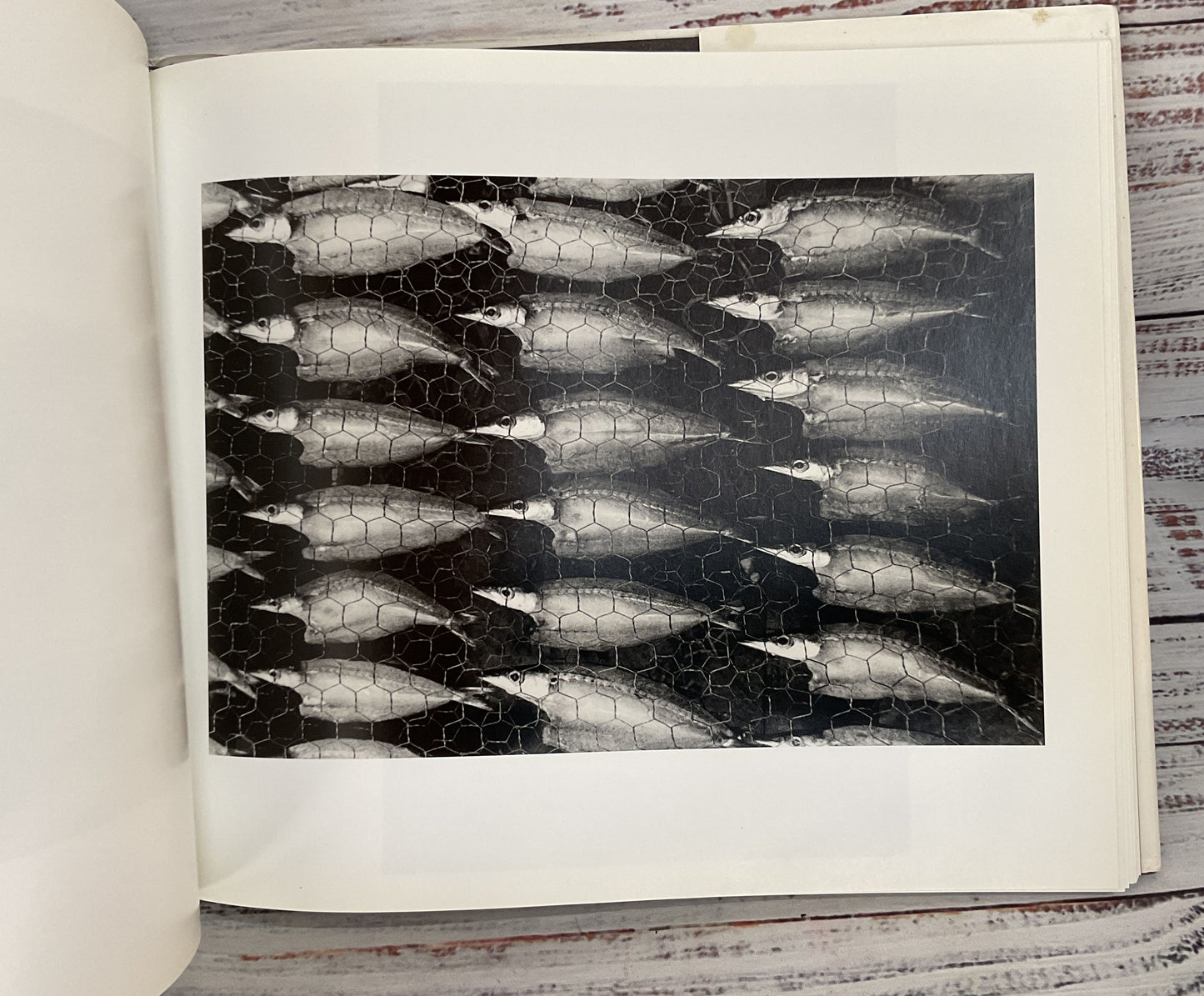 Timekeeper by Anthony Friedkin 2003 First Edition