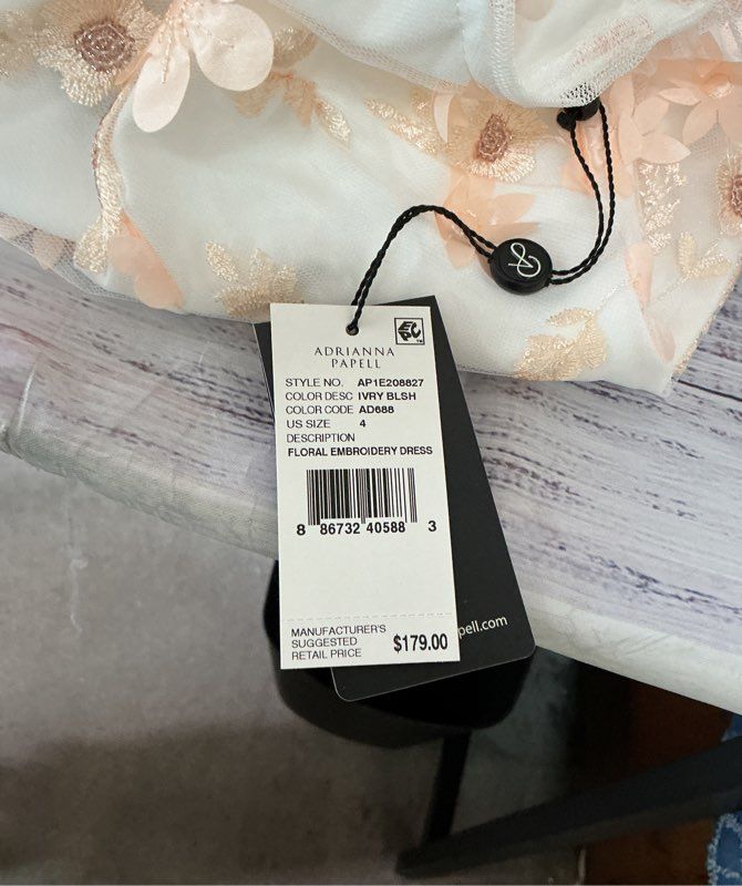 NWT Adrianna Papell Ivory & Blush Floral Embroidery Dress Size 4 Retail $179
