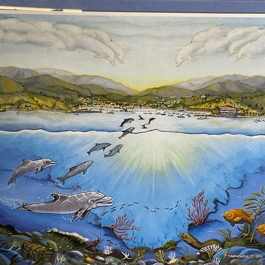 Signed & Numbered JEROME STUMPHAUZER Dolphins of Catalina Print- 14.25" x 11.5"