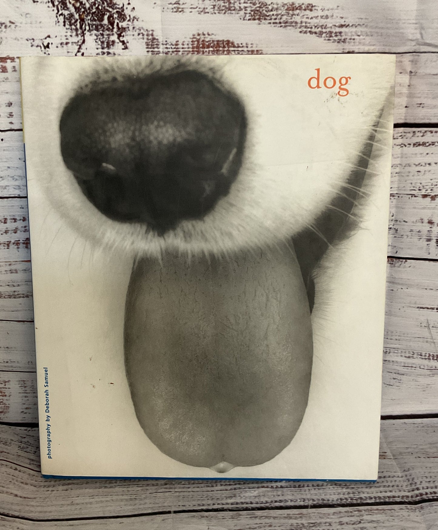 Dog Photography Book by Deborah Samuel