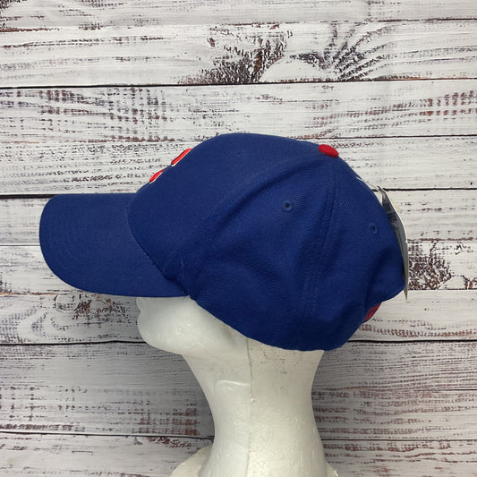 Chicago Cubs Twins Enterprise Blue MLB Baseball Cap Snap Back Hat New