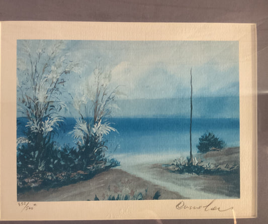 View of a Lakeside 452/500 Signed Print