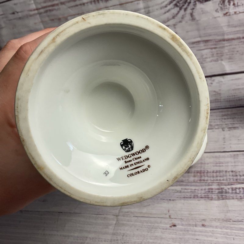 Wedgwood Colorado 2 Pt. Lidded Coffee Pot & Creamer Bone China Set