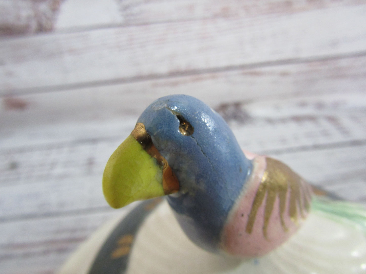 Vintage Artist Signed Handcrafted Parrot Motif Covered Butter / Cheese Plate