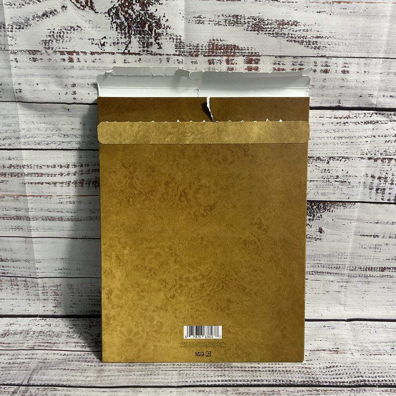 Brandi Carlile In The Canyon Haze/Silent Days Book & 2 CD Collectable Set