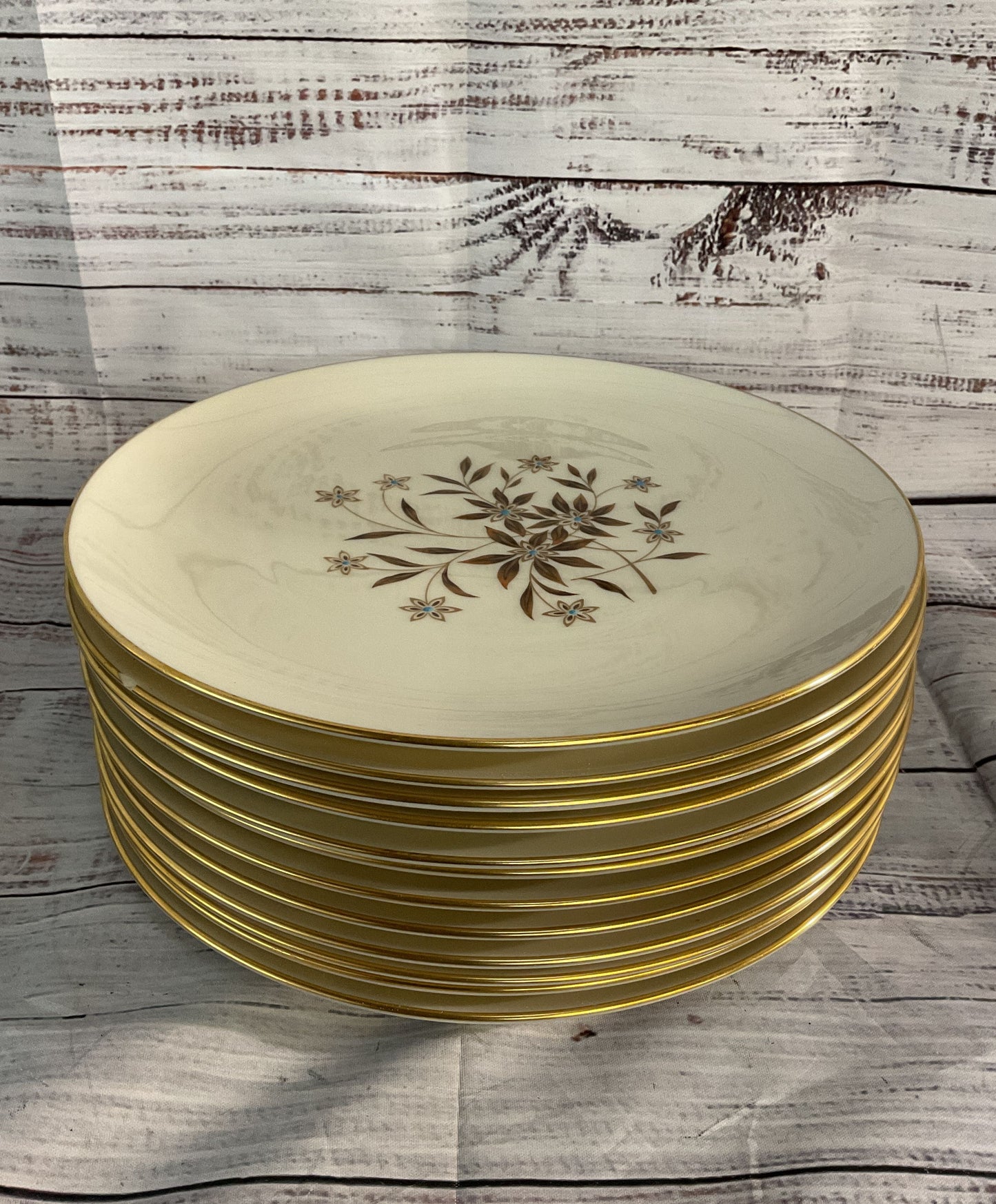 Lenox Porcelain Starlight Set of 12 Dinner Plates Cream