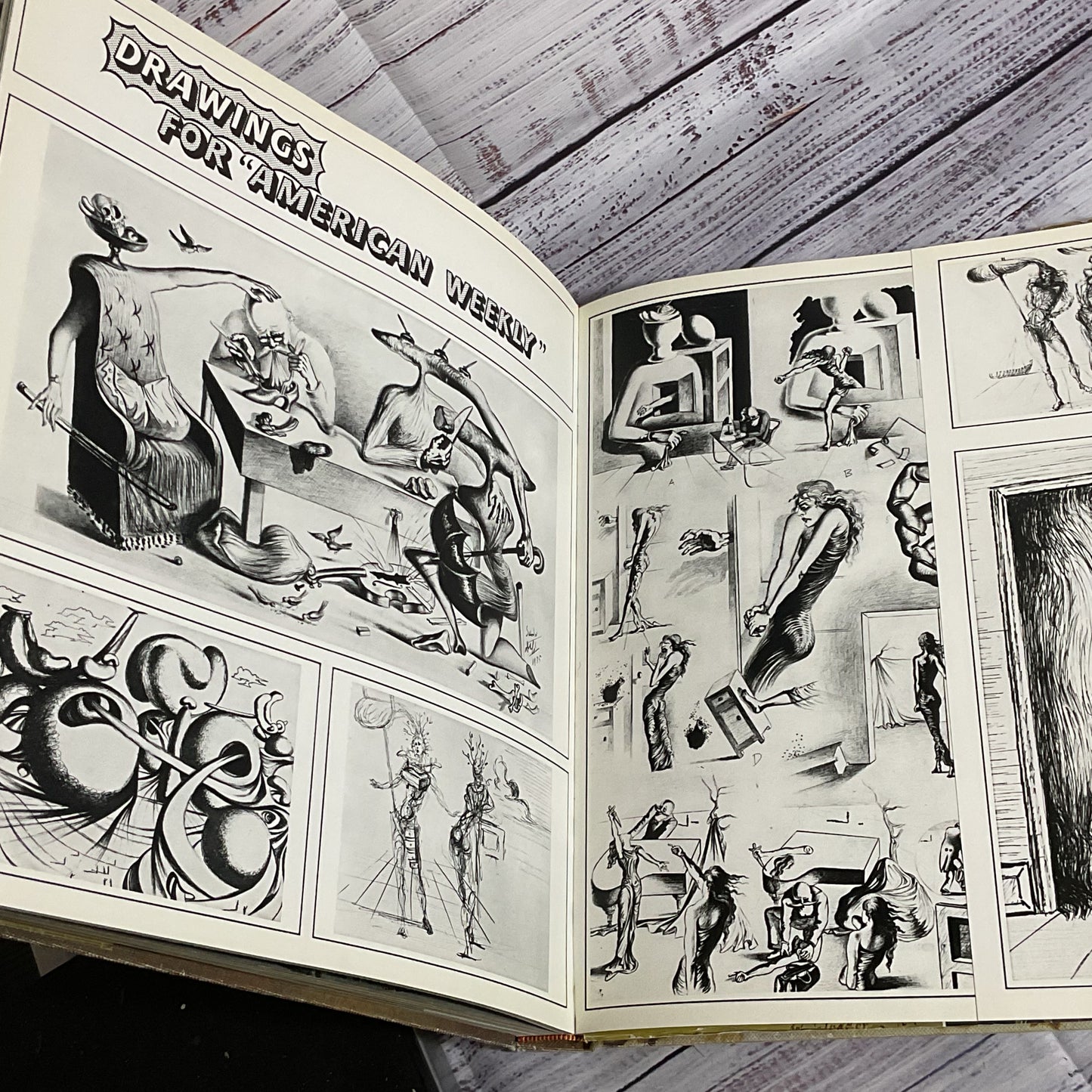 DALI by Max Gerard (1968, Hardcover) published by Abrams