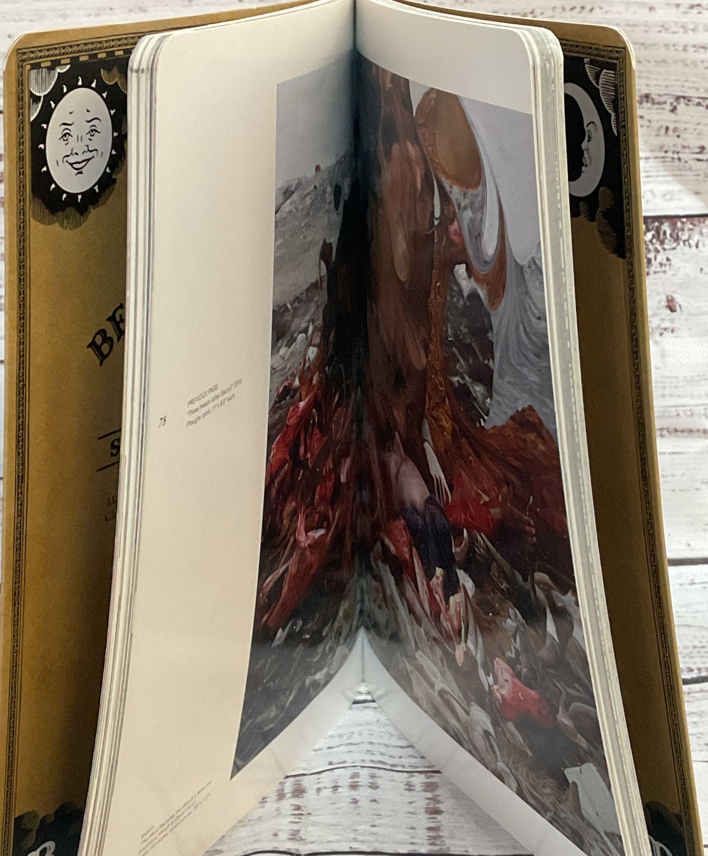 Beautiful Decay Art Collection Psychonaunts Book 5