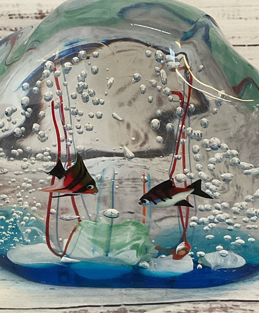 Elio Raffaelli Hand Blown Fish Aquarium Art Glass Paperweight