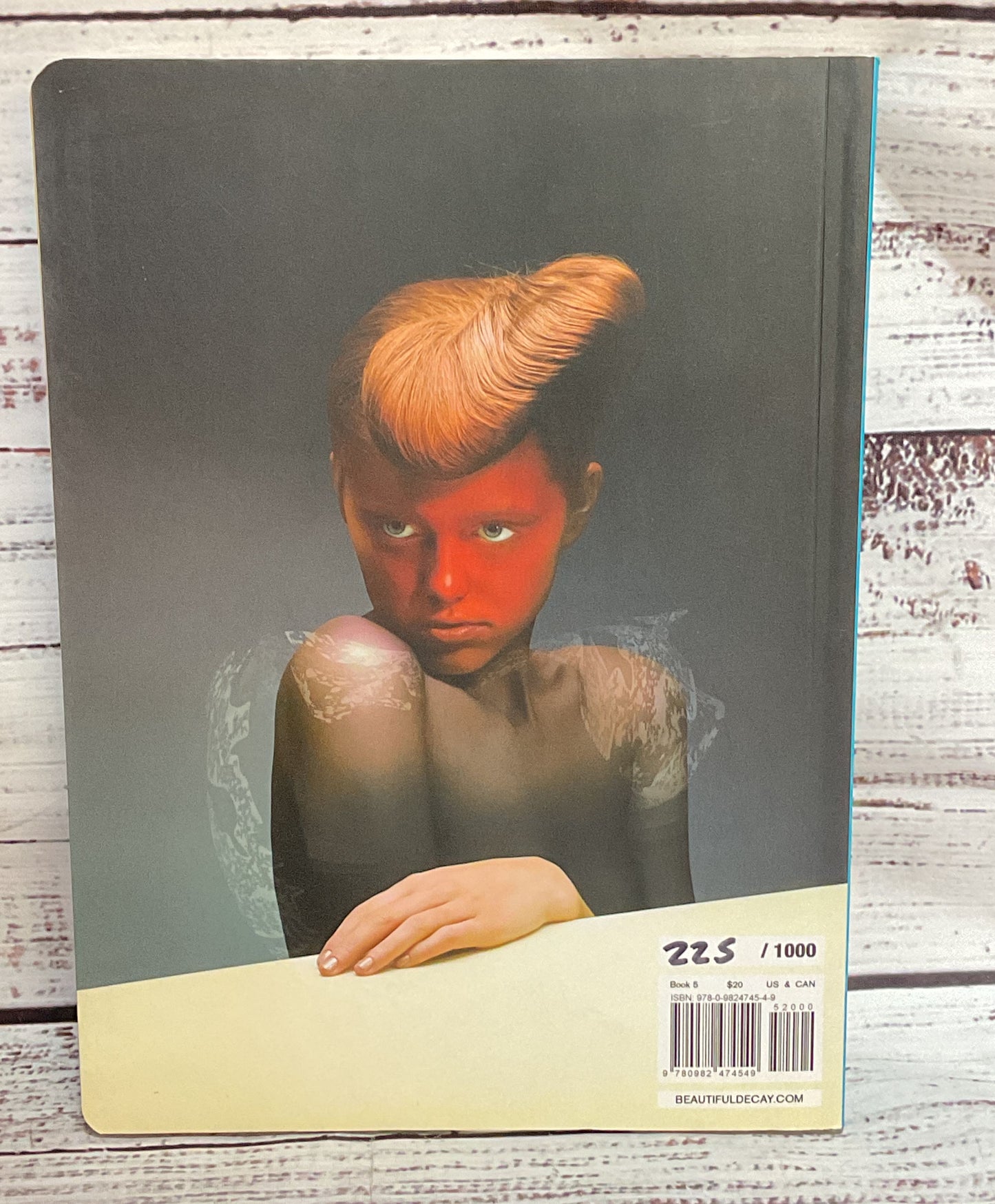 Beautiful Decay Art Collection Psychonaunts Book 5