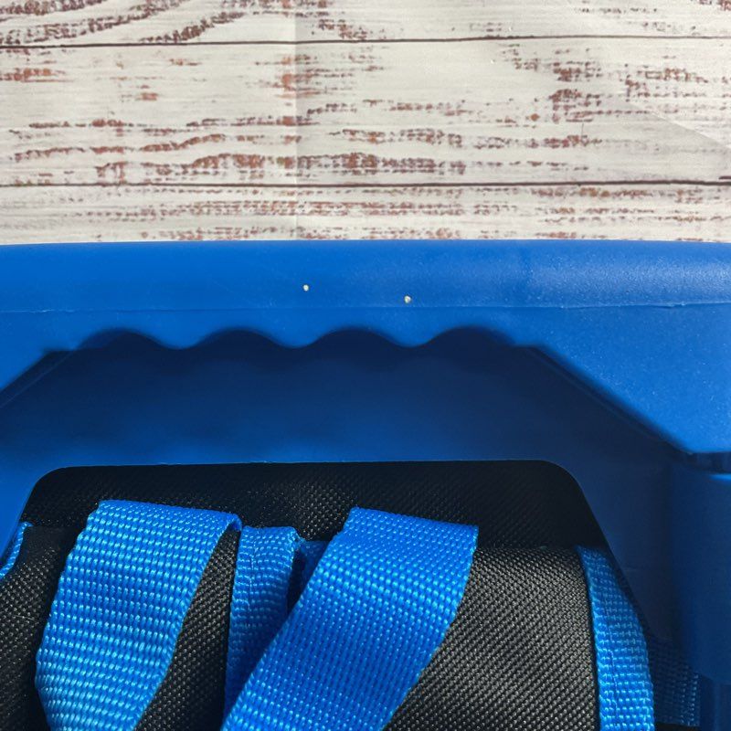 NWT Ruz Sonic the Hedgehog Coin Jump Rolling Carry-On Backpacks