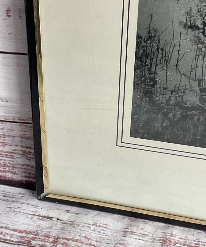 Lonely Tree Framed Print Signed by Edward Holland