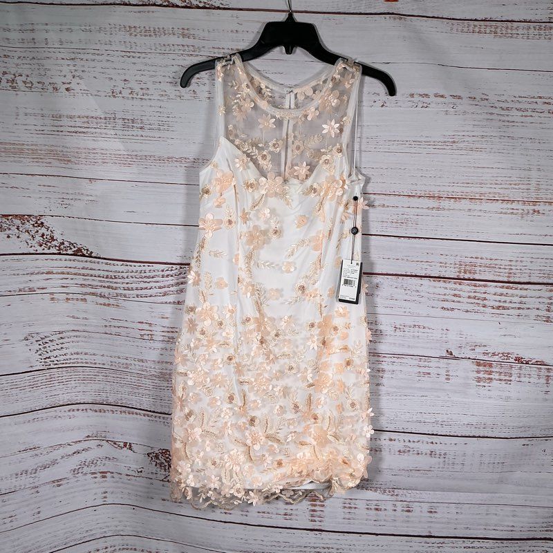 NWT Adrianna Papell Ivory & Blush Floral Embroidery Dress Size 6 Retail $179