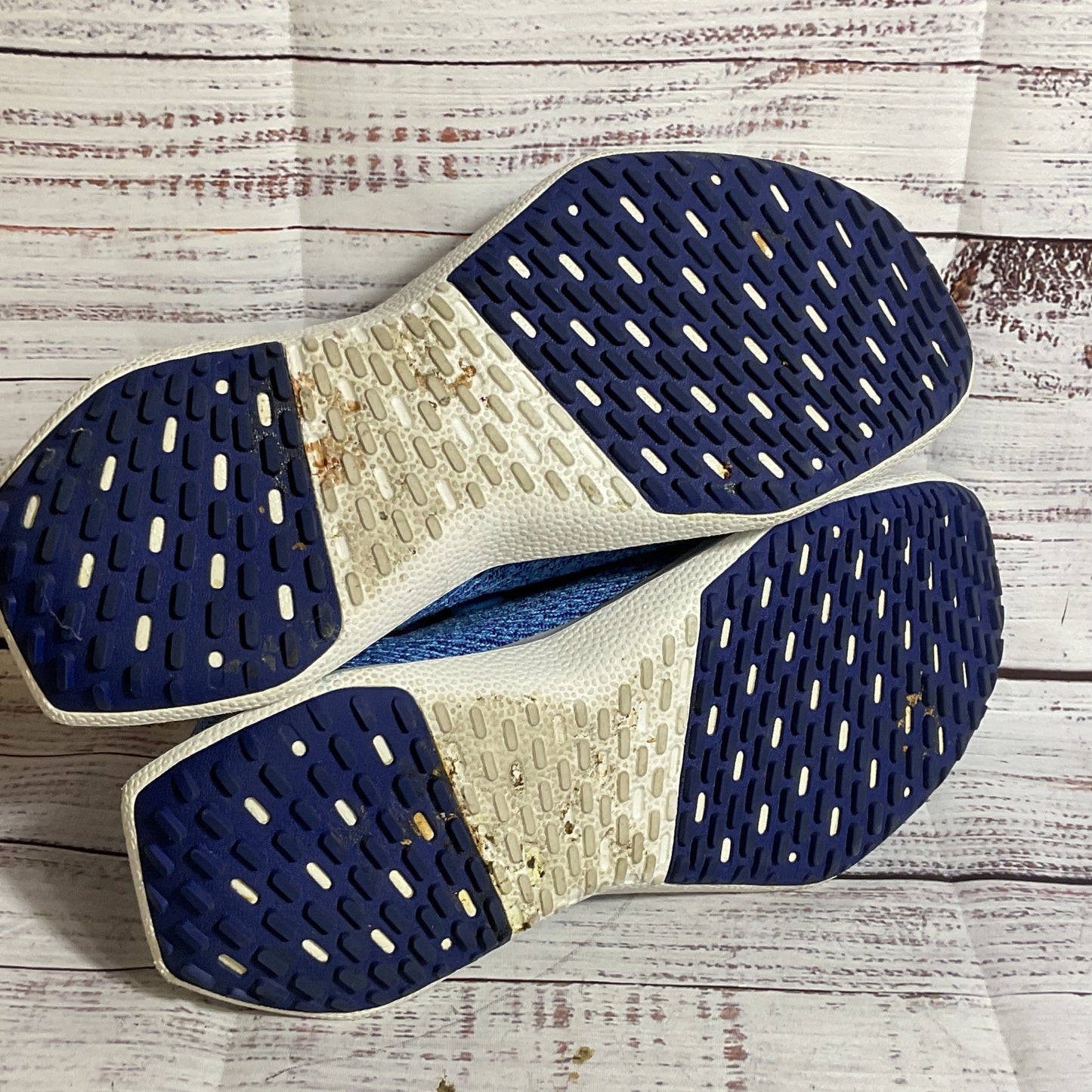 ALL BIRDS TD2 Women's Blue Sneakers- SZ 10