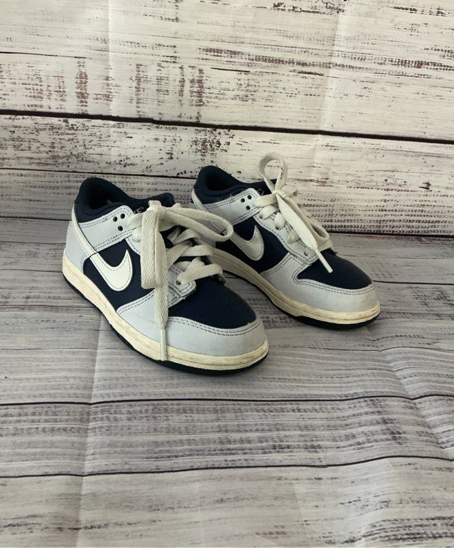 Boys Toddler Nike Dunk Low Blue Sneaker Size 10C
