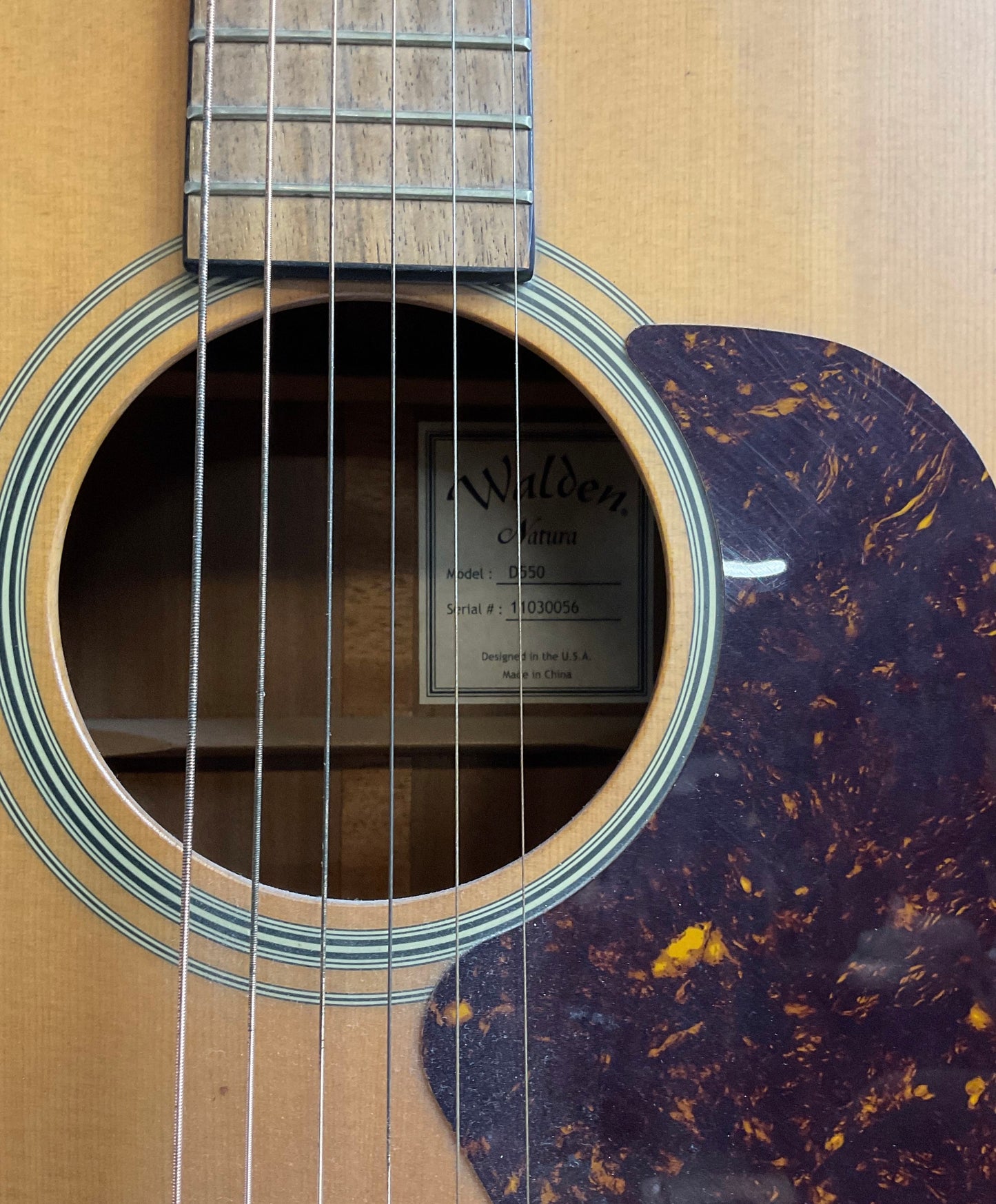Walden Natura D550 Acoustic Guitar with Soft Case and Capo