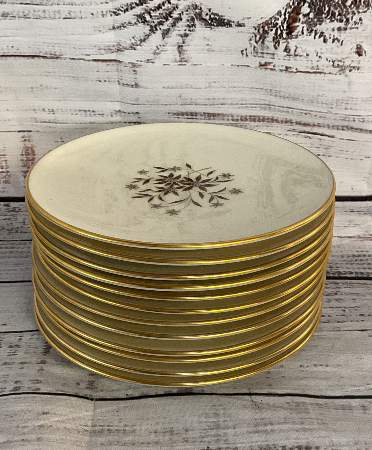 Lenox Porcelain Starlight Set of 12 Bread Plates Cream
