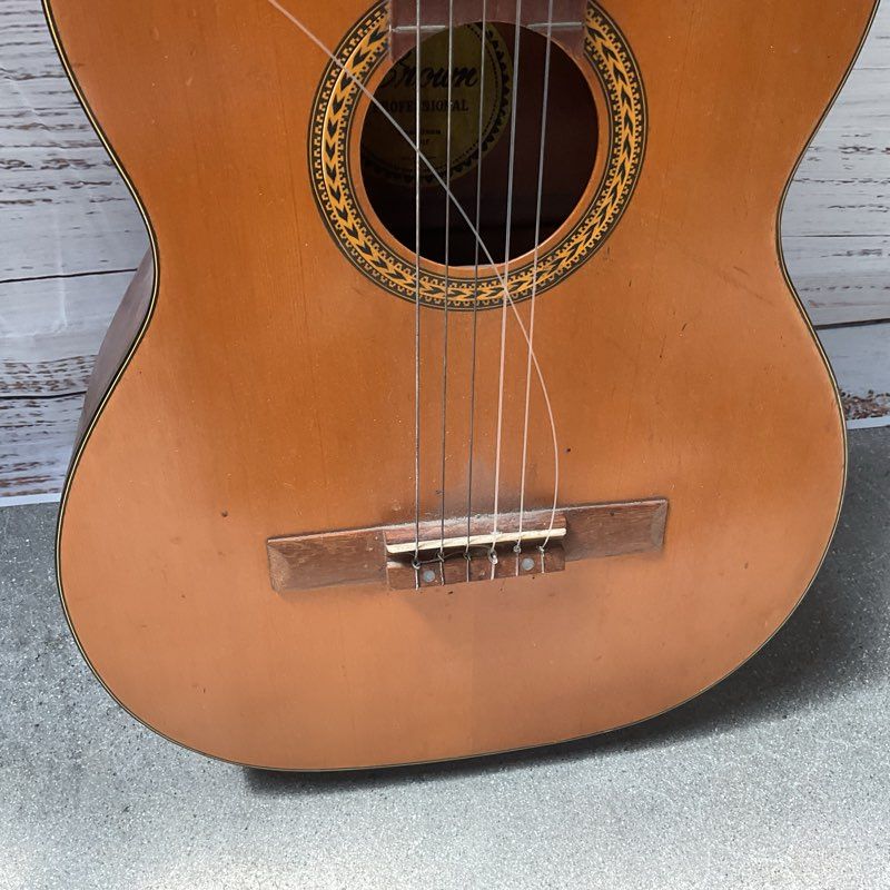 Crown Professional CA Acoustic Guitar Natural Finish Dreadnought Style