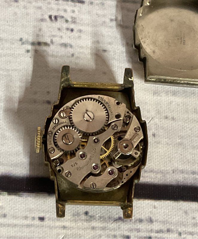 Geneva Warwick Gold Tone Stainless Steel Vintage Watch Case Swiss