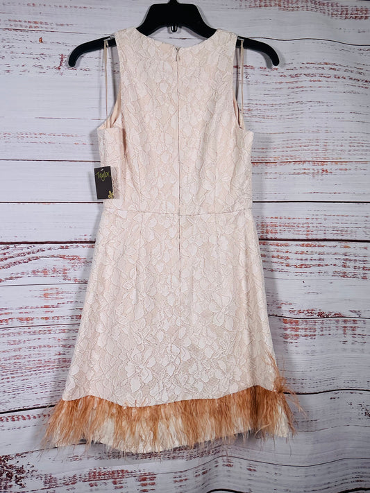 Taylor NWT Sleeveless Dress Feather Trim
