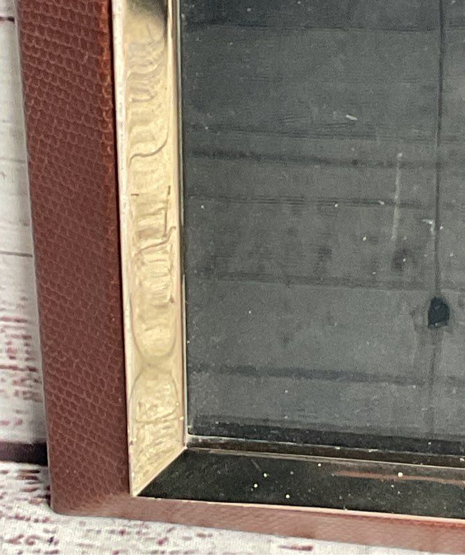 Tizo Snakeskin Embossed 4x6 Picture Frame Brown
