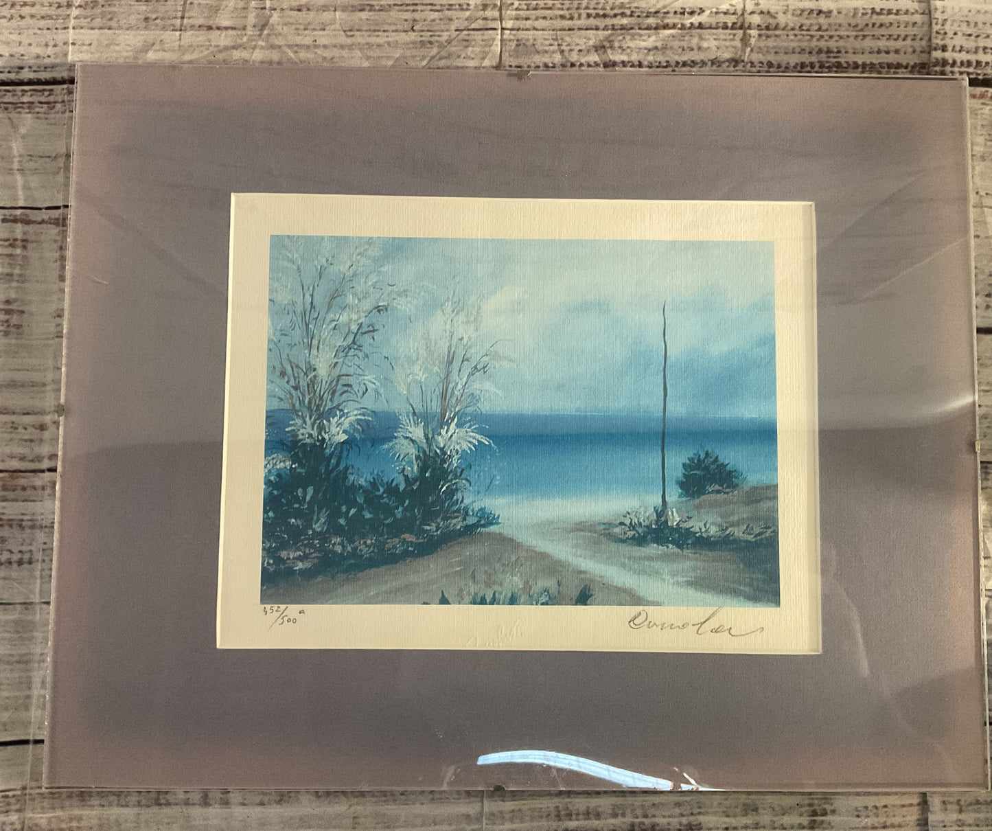 View of a Lakeside 452/500 Signed Print