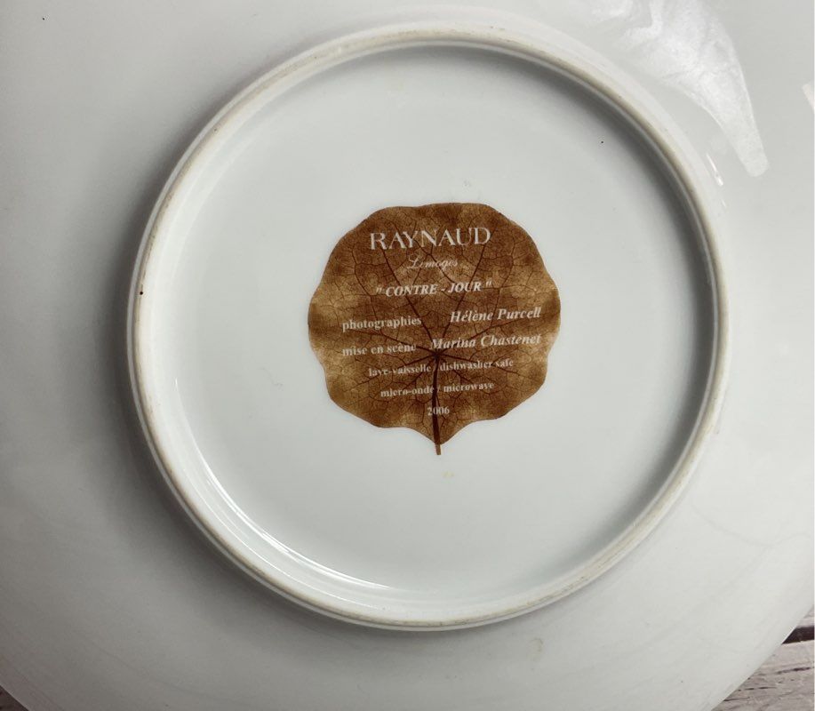 Contre Jour by Raynaud Rydcont Flower 10.5" Dinner Plate White Brown
