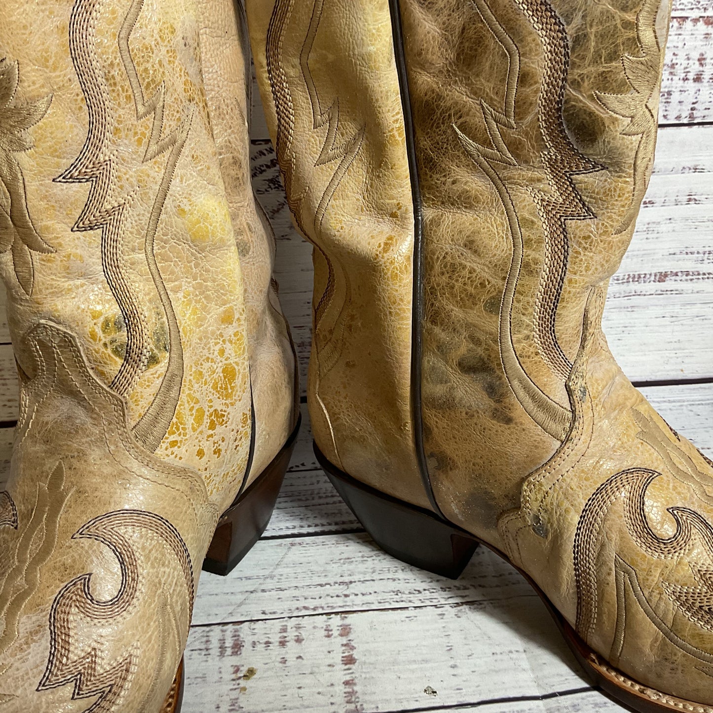 DAN POST Women's Tan High Cowboy Boots- SZ 9M (AS-IS- HAS STAINS)